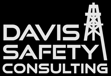 Davis Safety Consulting logo